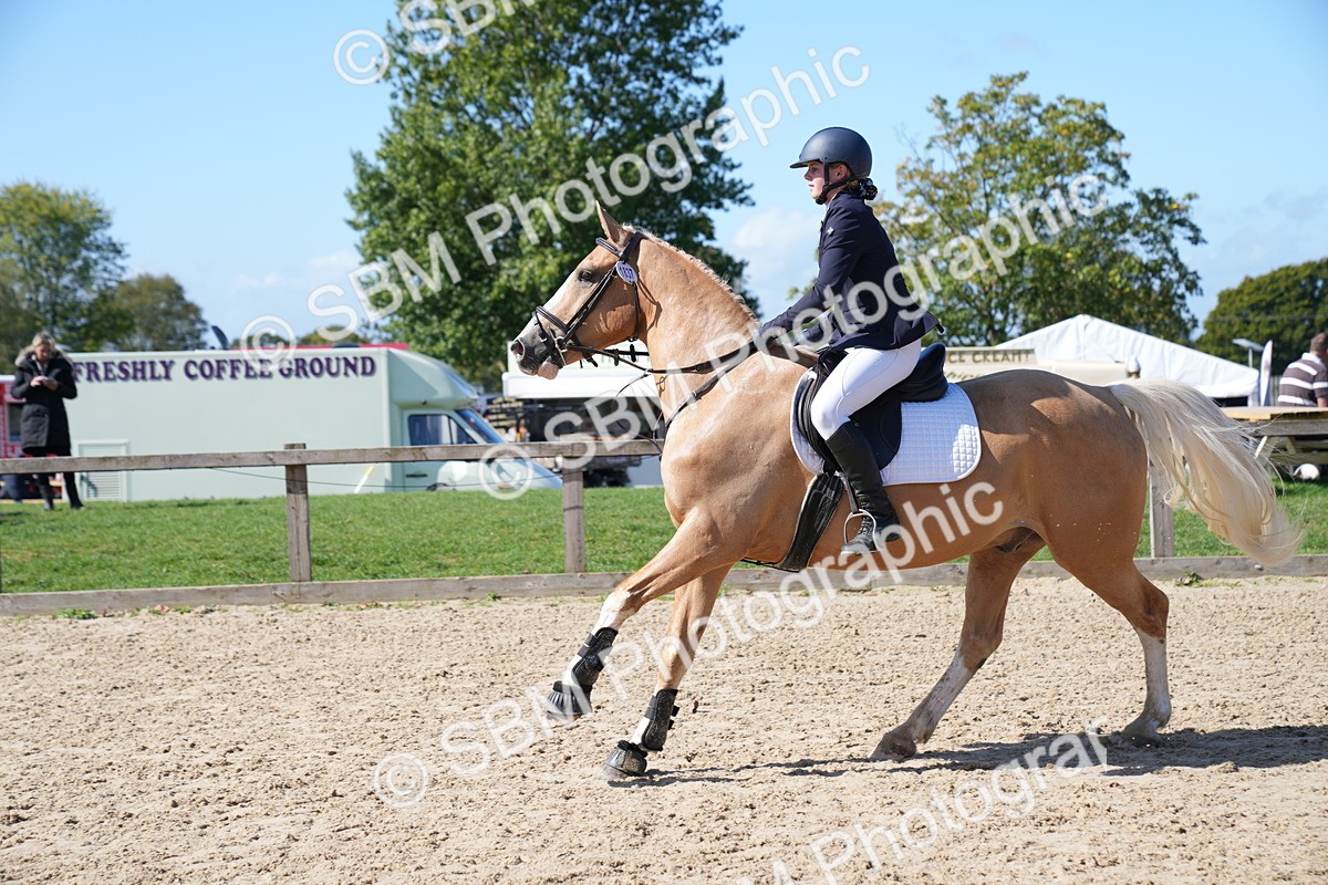 SBM_04856 - J56 - Clear Round 70cm