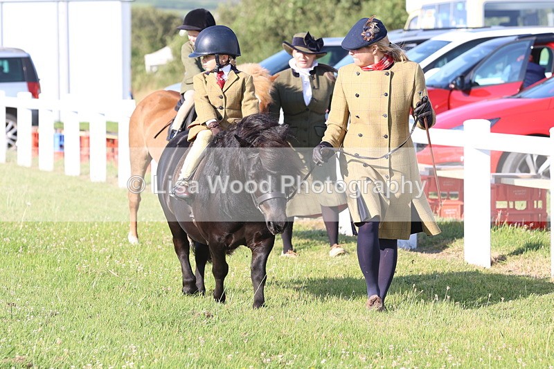 JPP_0646 - Class 16: Cornish Combination Leading Rein