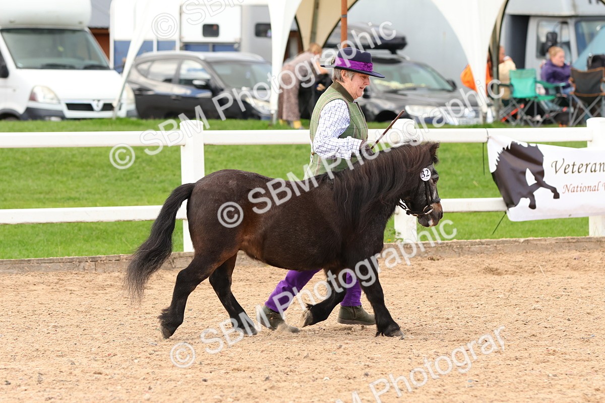 SBM_10301 - Class 206 - IH Non Show Type Pony