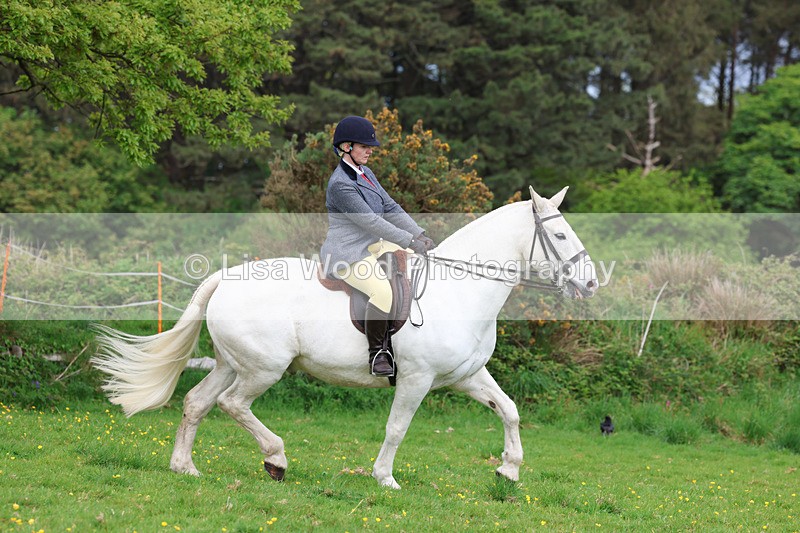 3E7A1351 - Class 7: Ridden Hunter Type