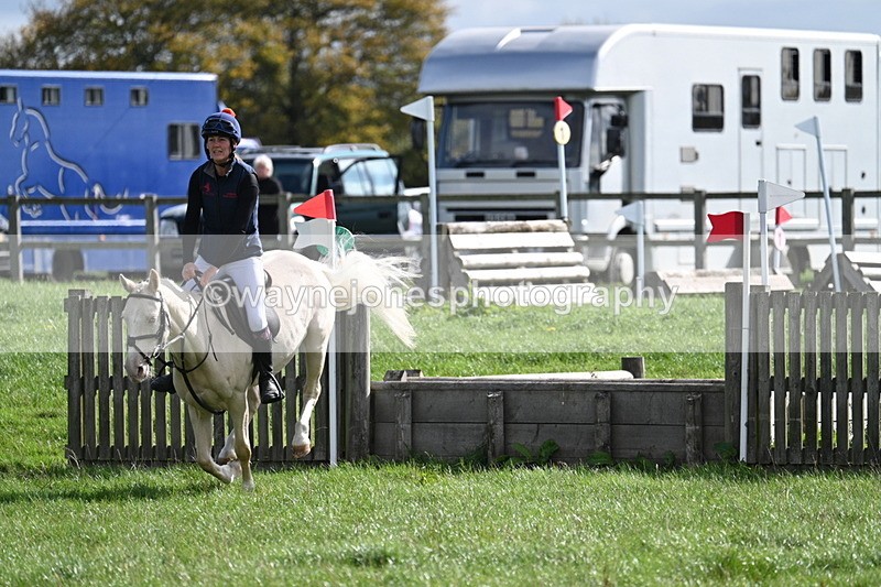 WJ7_8582 - 60cm Pairs