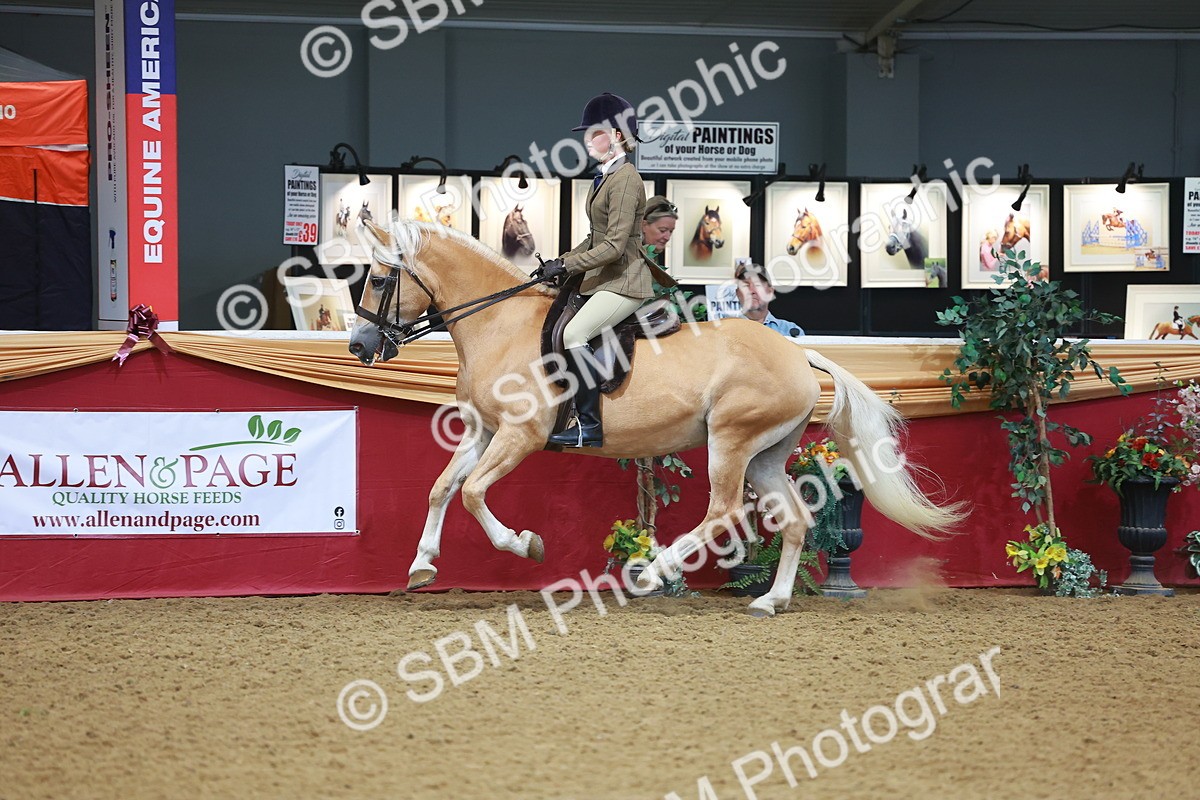 SBM_09788 - Class 102 - HOYS Veteran Qualifier - Ridden Veteran