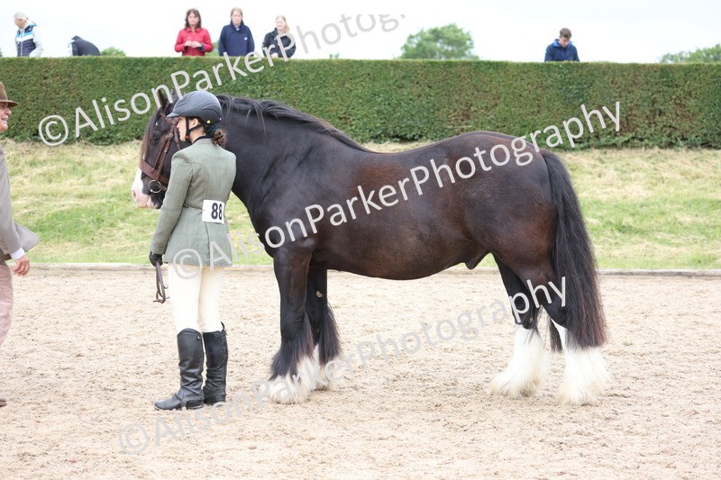 20250524-0781 - Class 7 - Veteran