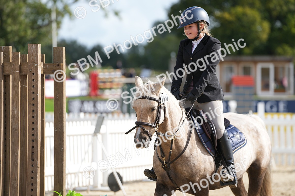 SBM_48566 - J7 - Junior Pony 60cm Championship