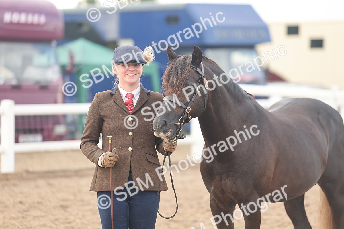 SBM_08511 - Class 29 - IH Veteran Pony
