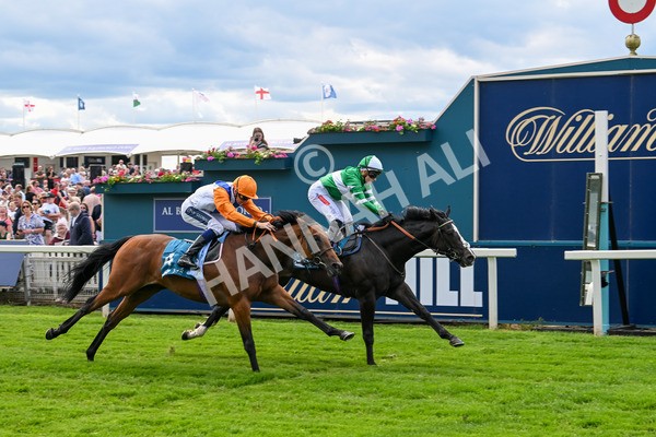 310525-Race 2-Tadej-8964 - Race 2 2.05pm Irish Thoroughbred Marketing EBF Restricted Novice Stakes