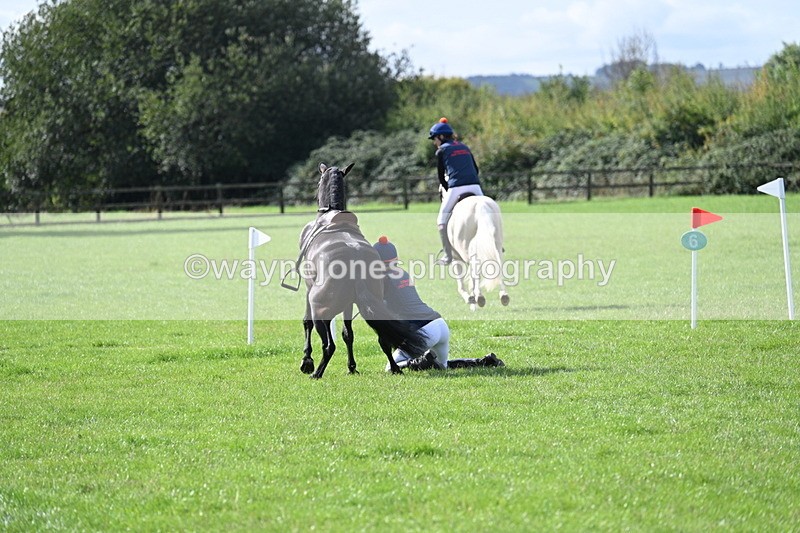 WJ7_8544 - 60cm Pairs