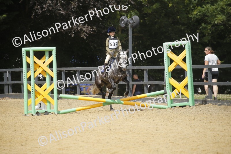 20250622-4011 - 50cm