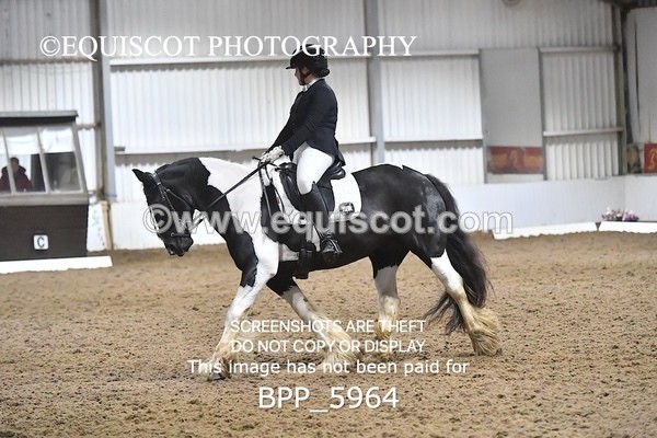 BPP_5964 - ELEM TEST 4