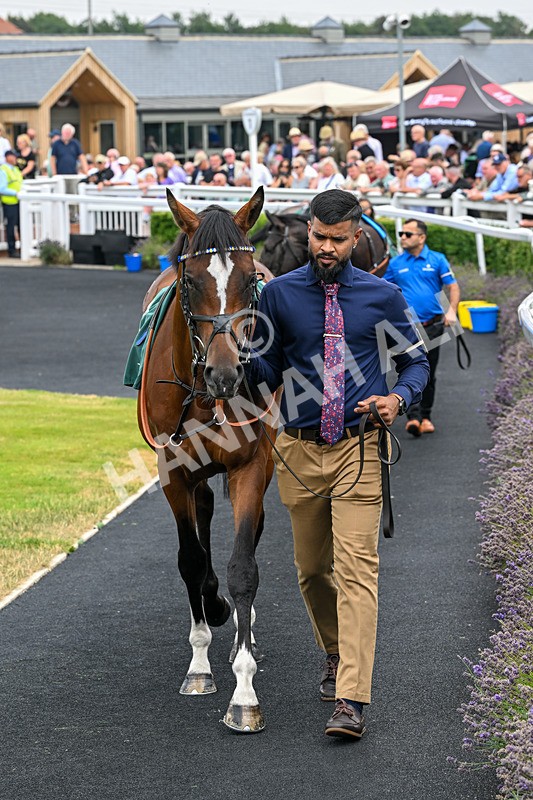 040826-Race 1-National Pride-4247 - Race 1 14.15pm Army Benevolent Fund/EBF Novice Stakes