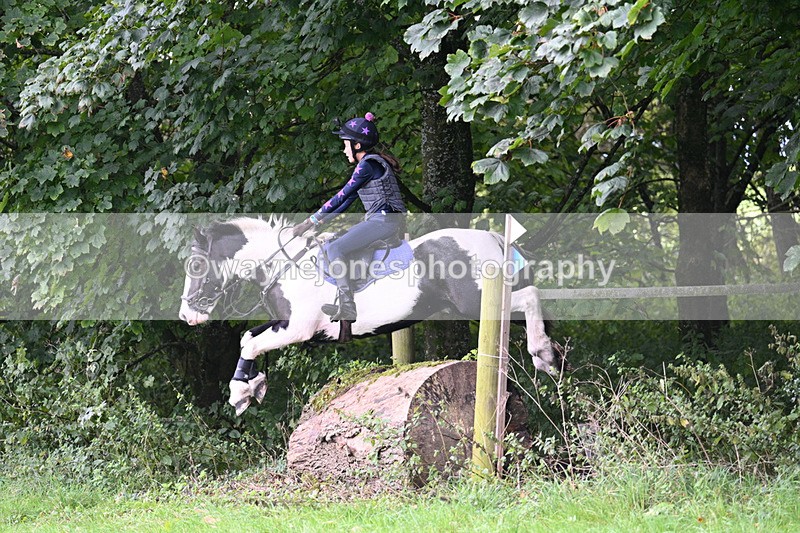 WJ7_8233 - Time 14:11 to 14:30