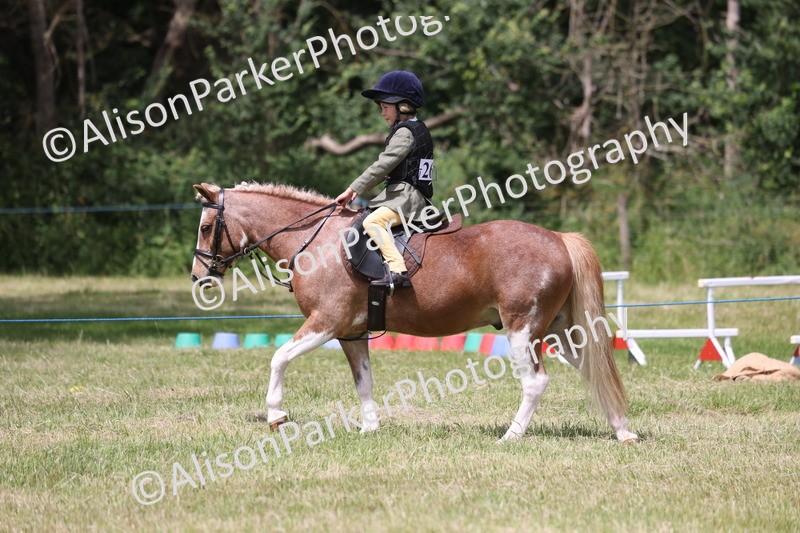 20260614-2126 - Class 21 - Novice Working Hunter Pony