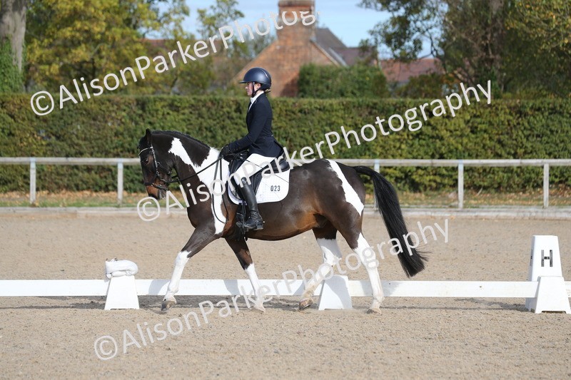 20261011-0250 - Class 4 - Novice 6