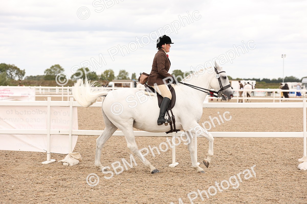 SBM_16491 - Class 212 - Ridden Hunter - Small