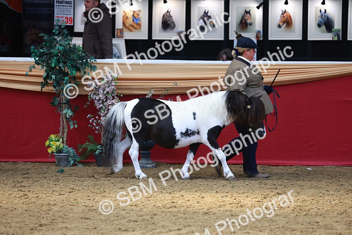 SBM_04174 - Class 9R - IH Pre-Vet