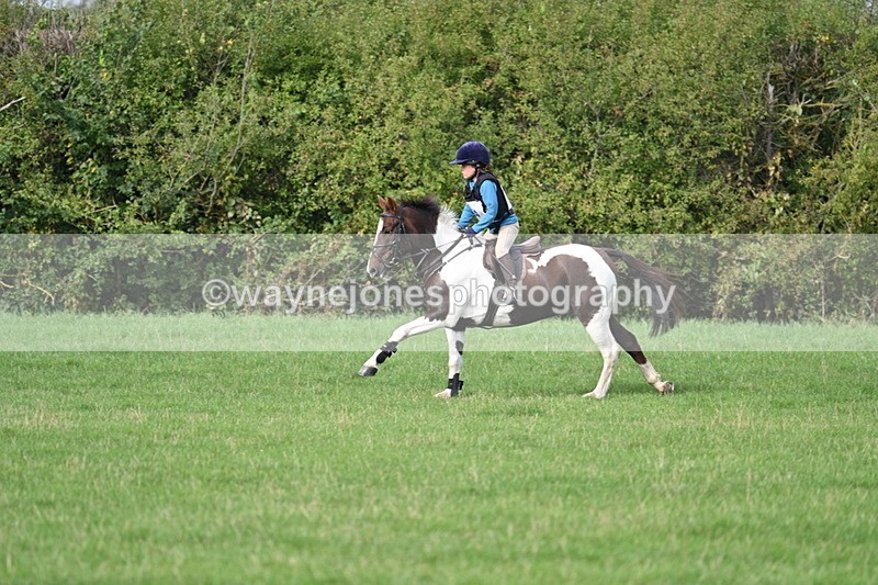 WJ7_8454 - 60cm Pairs