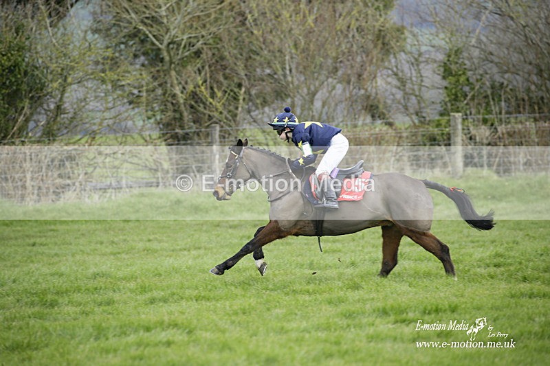 PtP 060322 34 - Blackmore & Sparkford Vale Hunt PtP 06/03/22
