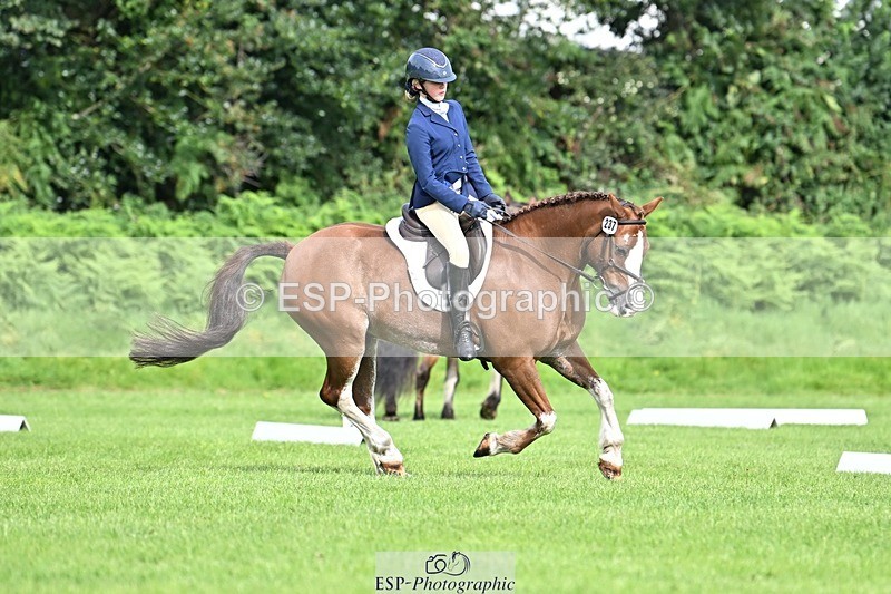 230826-100637-16375 - Sections A & B 10 to End