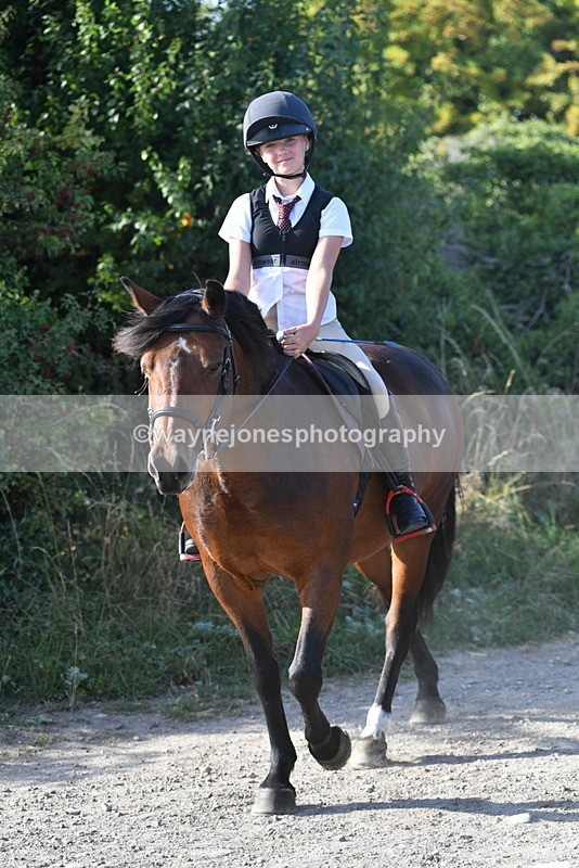 WJ5_5051 - Walk out with the hounds