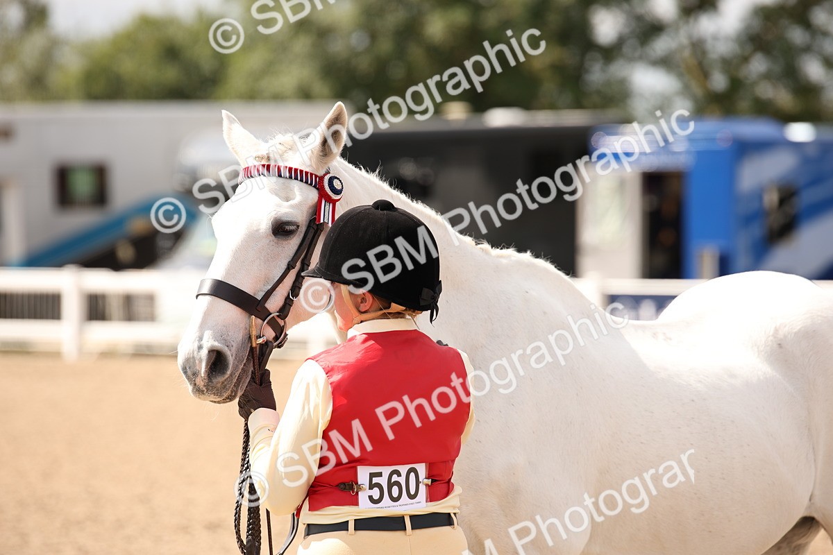 SBM_04612 - Class 20 IH Veteran