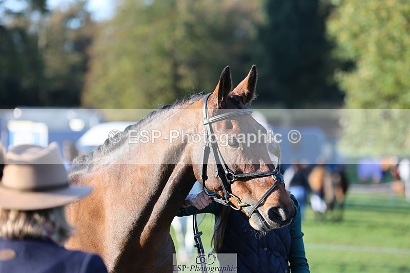 241027-085649-14917 - 352-Alice.Oldland-MISS.MARTA