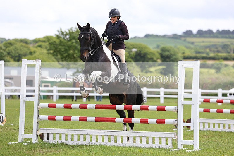 3E7A7322 - Class 13: Senior British Novice/90cm open