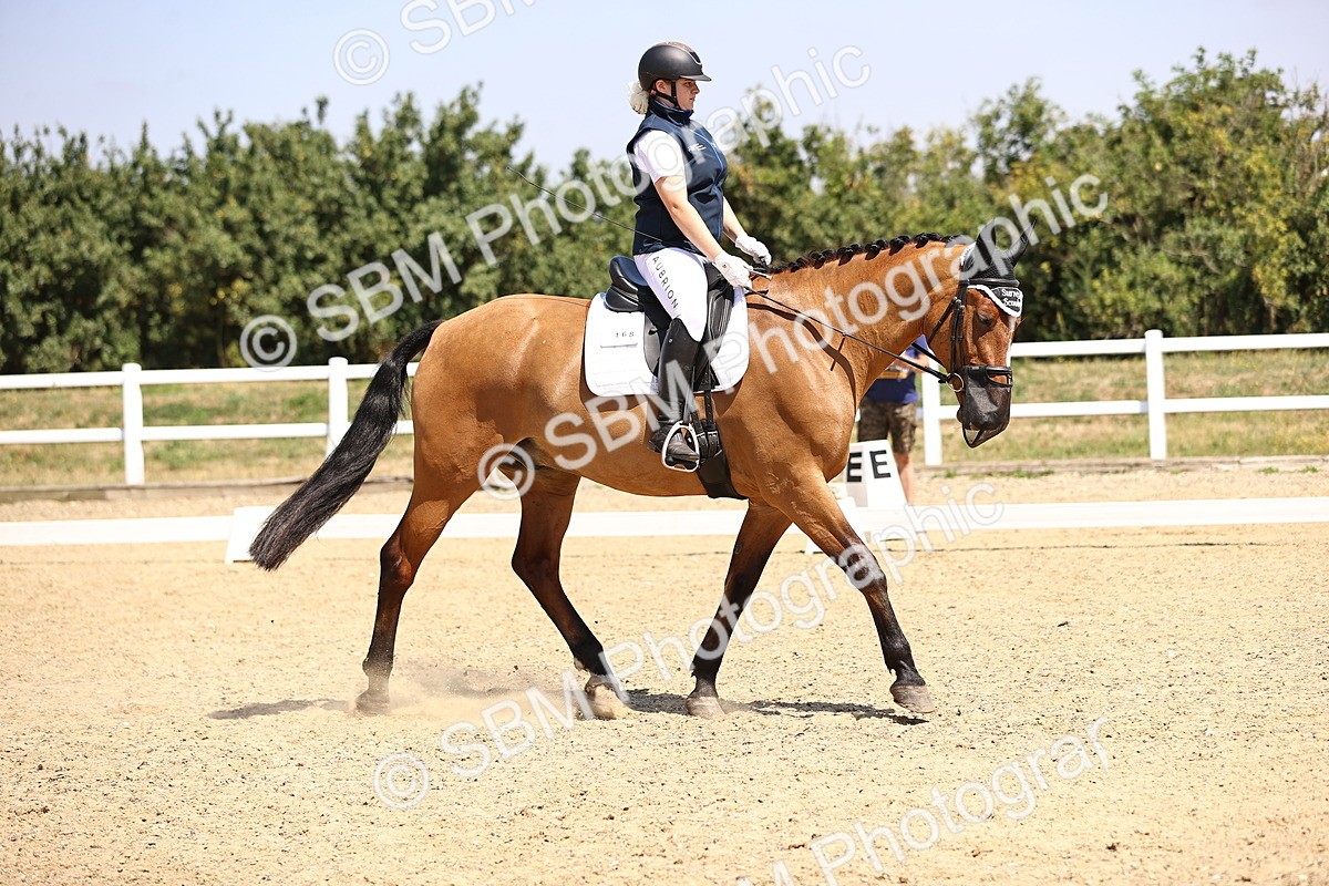 SBM_003980 - Intro 2