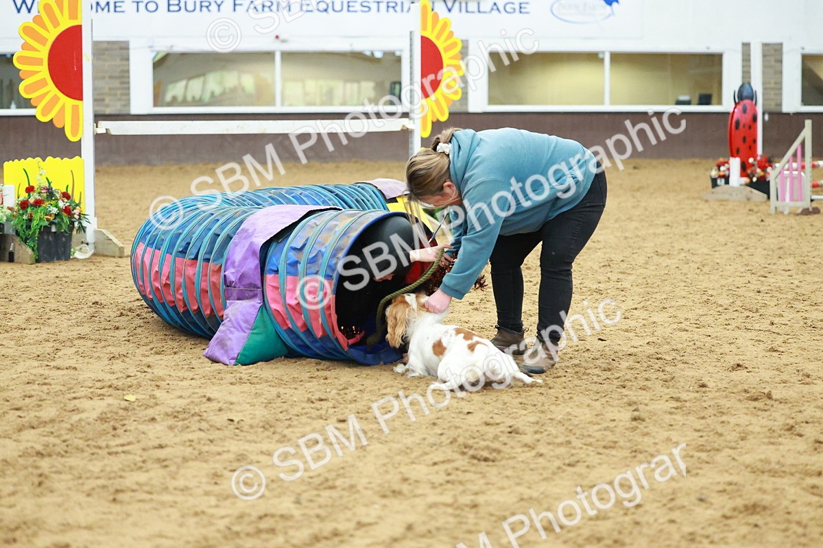 SBM_002539 - Class 3 - Horse & Hound (60cm)