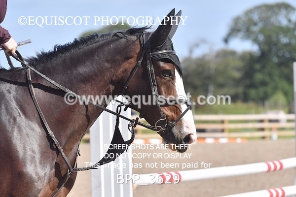 BPP_3629 - CLASS 4 Senior BritiNovice/ 90cm Open