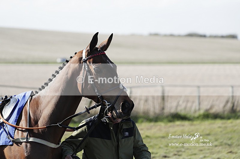 PtP 100423 1189 - Old Berkshire Point-to-Point Lockinge 10/04/23