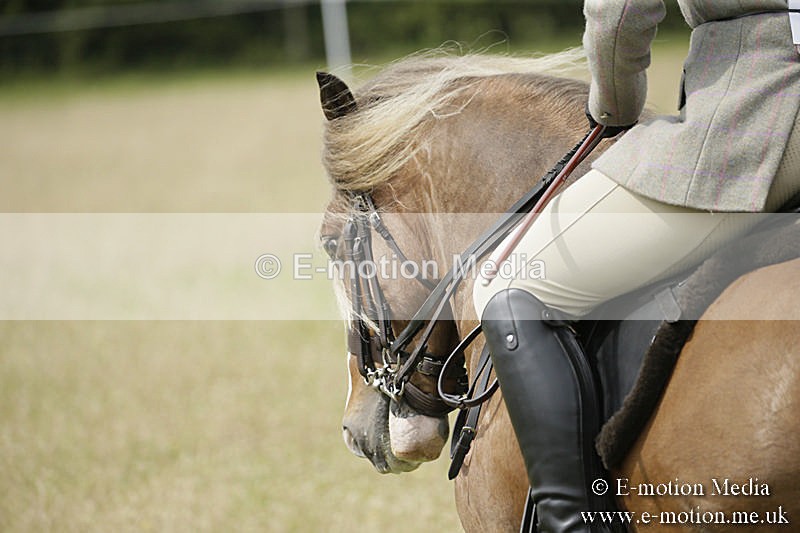 B230619-0447 - Bourne Valley Riding Club Summer Show 23/06/19