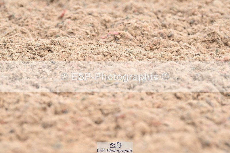 240621A-115739-02020 - Cls 7 BD Elementary 45