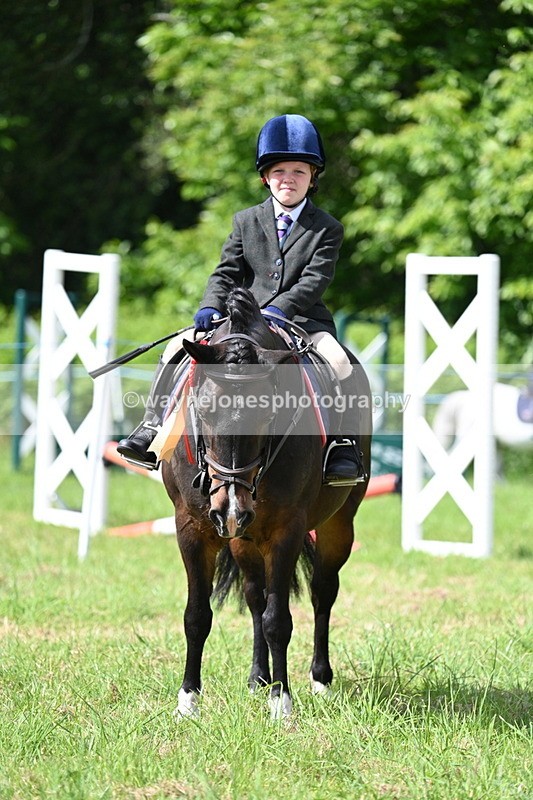 WJ7_0859 - Class 8 First Rally Pony