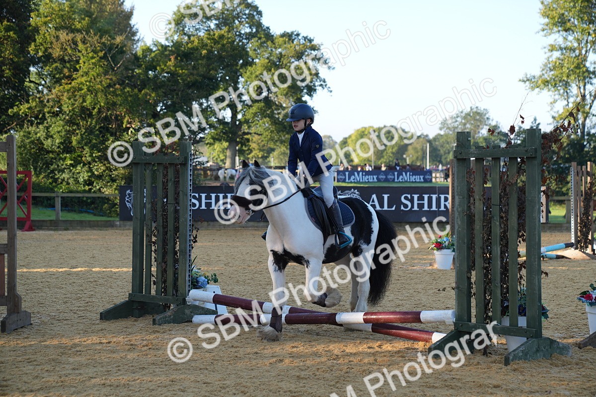 SBM_58949 - J63 - Minis Clear Round 30cm 40cm