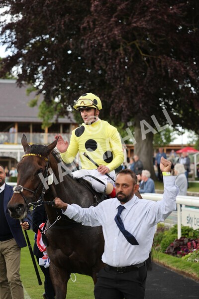 yr11062022r4-31 - Race 4 3.05pm Sky Bet Grand Cup