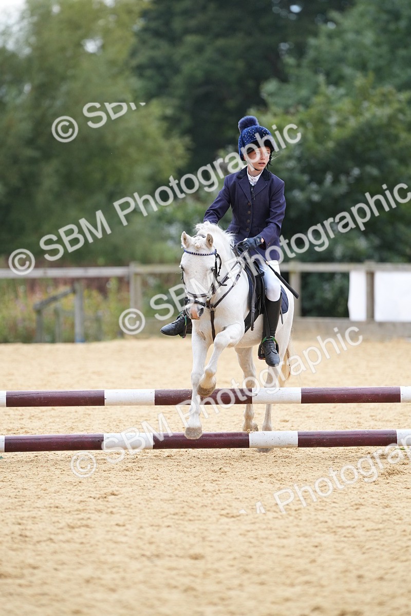 SBM_74814 - J4 - Mini Tour Junior Pony 45cm Championship