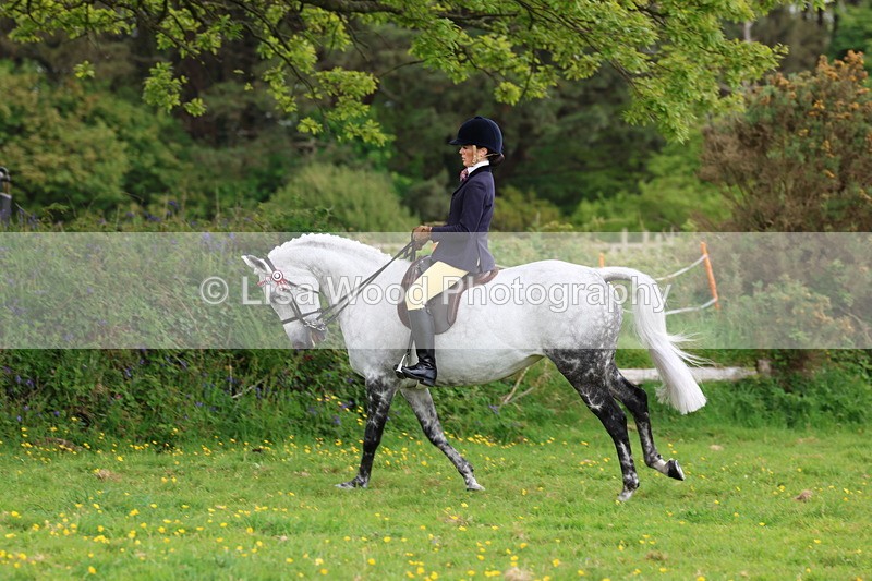 3E7A2109 - Class 11: Ridden Arab