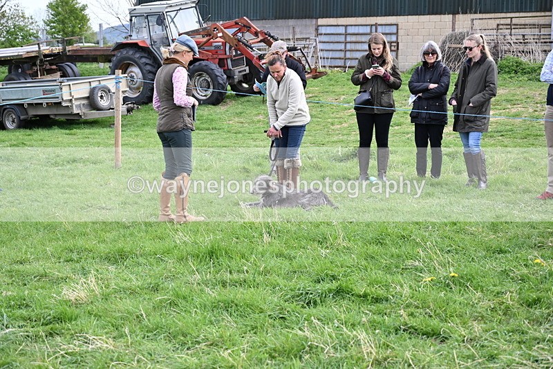 WJ6_8457 - Class 6 Best Rescue