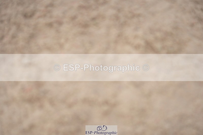 230924A-131322-06074 - 90 SJ Start to 14.00