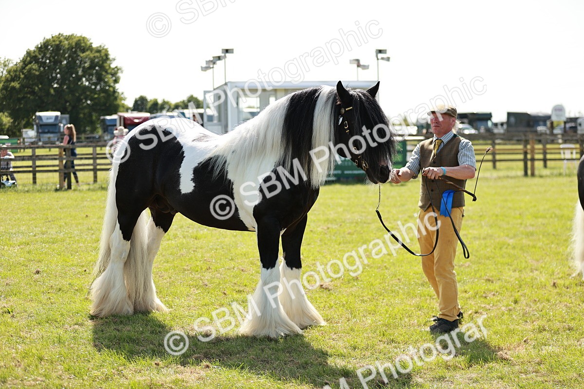 SBM_08899