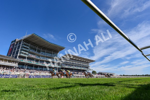 120725-Race 5-Amazing Journey-7145 - Race 5 4.15pm John Smith's Nursery Handicap