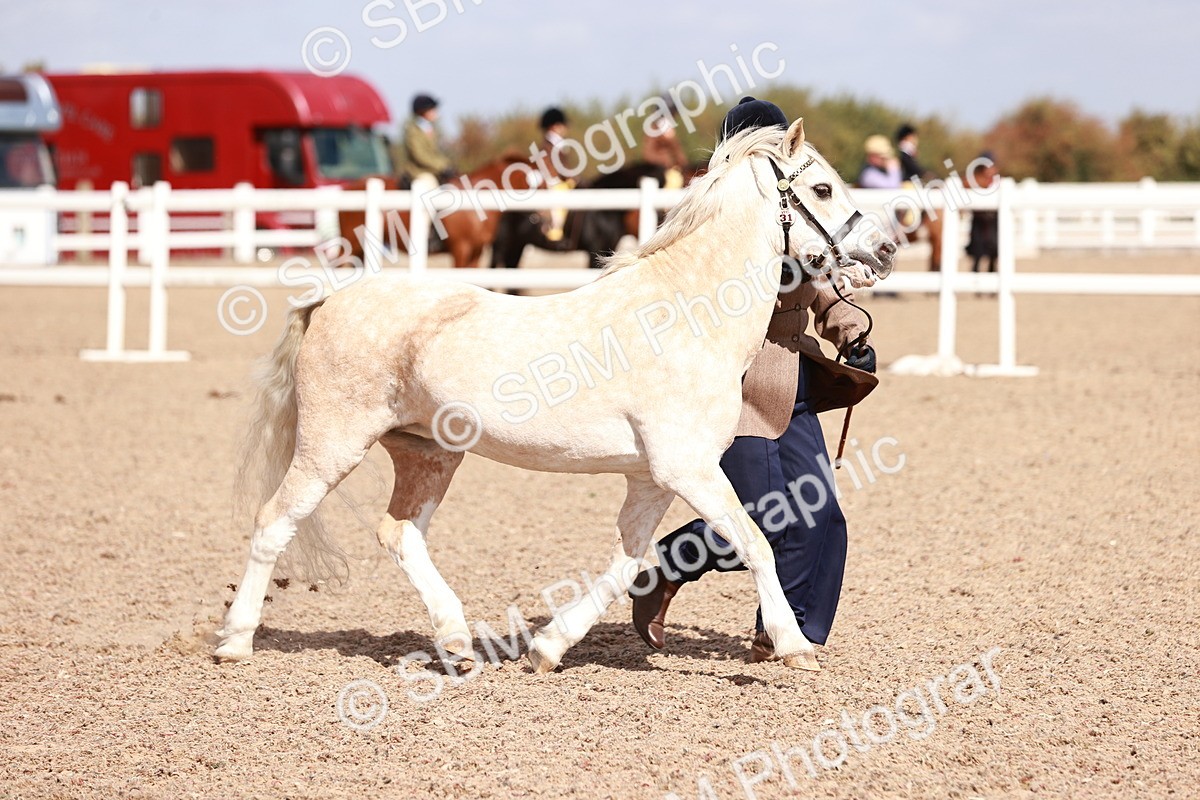 SBM_23006 - Class 707 - IH groom Helpers Class