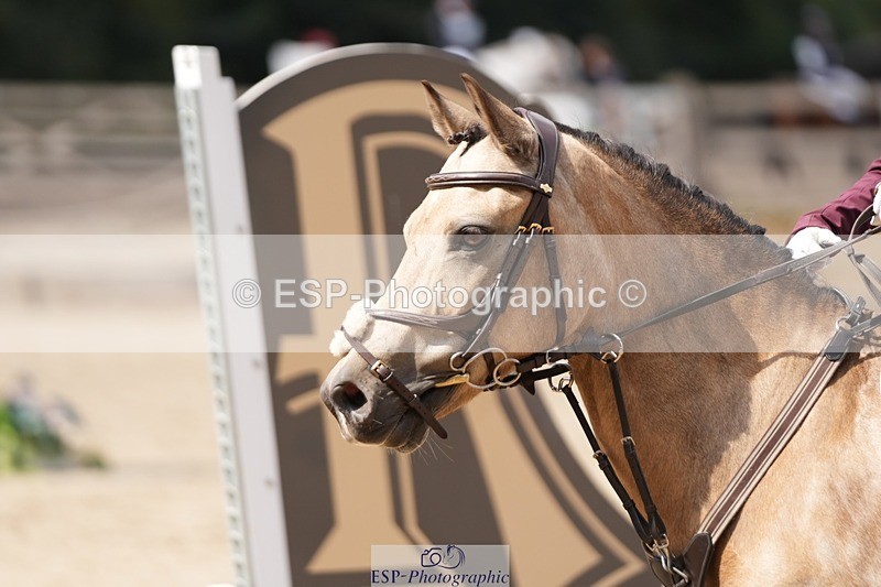 250822A-120245-21246 - WC Round 2 11.10 to 12.20