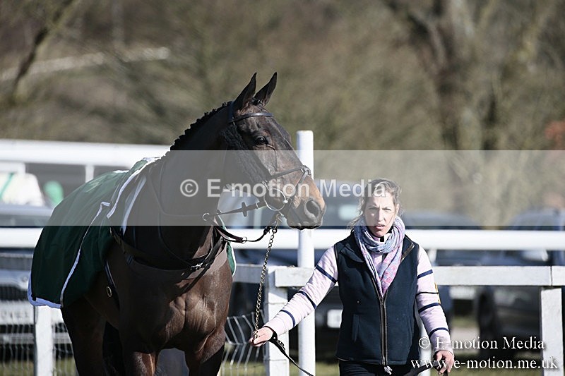 PtP 240218 188 - Vine & Craven Hunt Point-to-Point Barbury racecourse 24/02/18