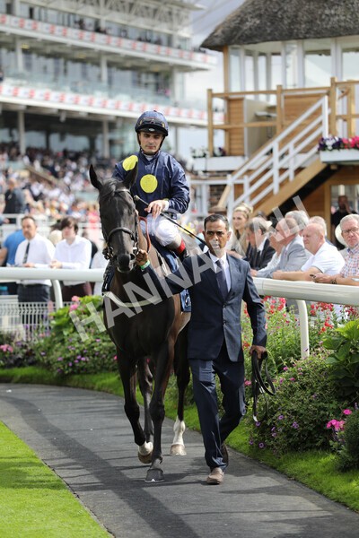 yr19082022r4-38 - Race 4 3.35pm Coolmore Wootton Bassett Nunthorpe Stakes (British Champion Series Race)