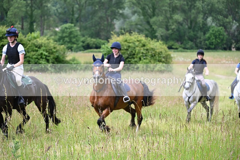 WJ6_7933 - Camera 1 Gallops