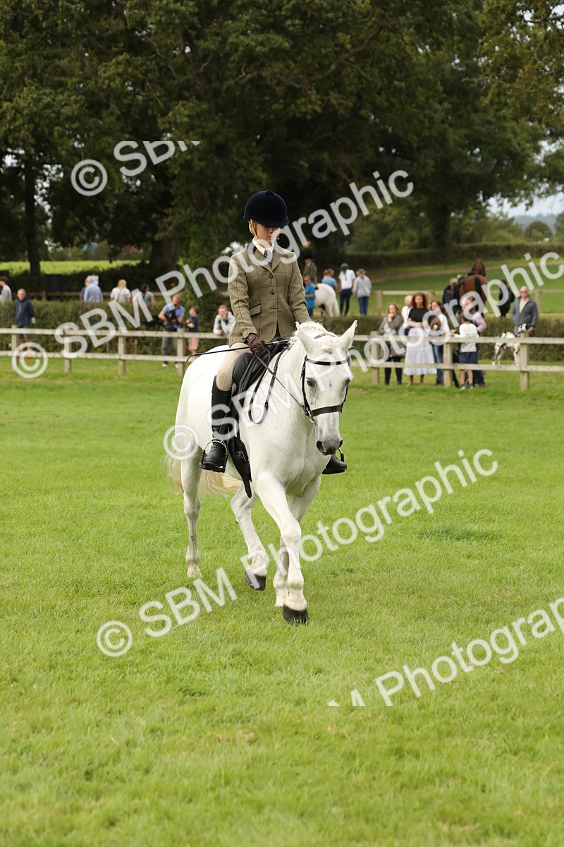 SBM_71675 - S41 - Ridden Equitation (Best Rider)