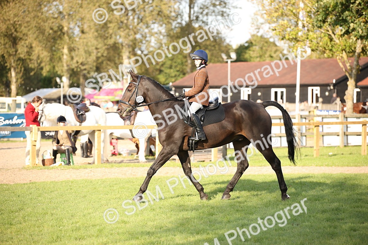 SBM_54305 - S27 - Mature Veteran - Ridden