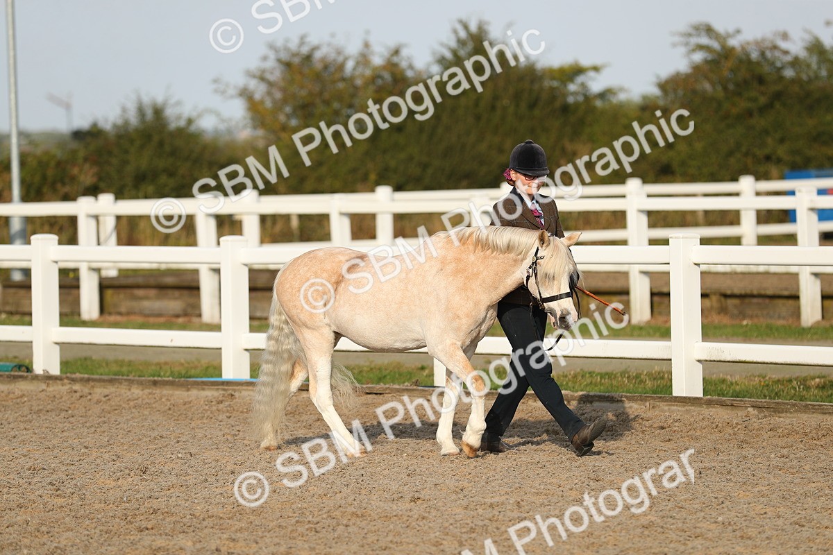 SBM_08898 - Class 29 IH Veteran Pony