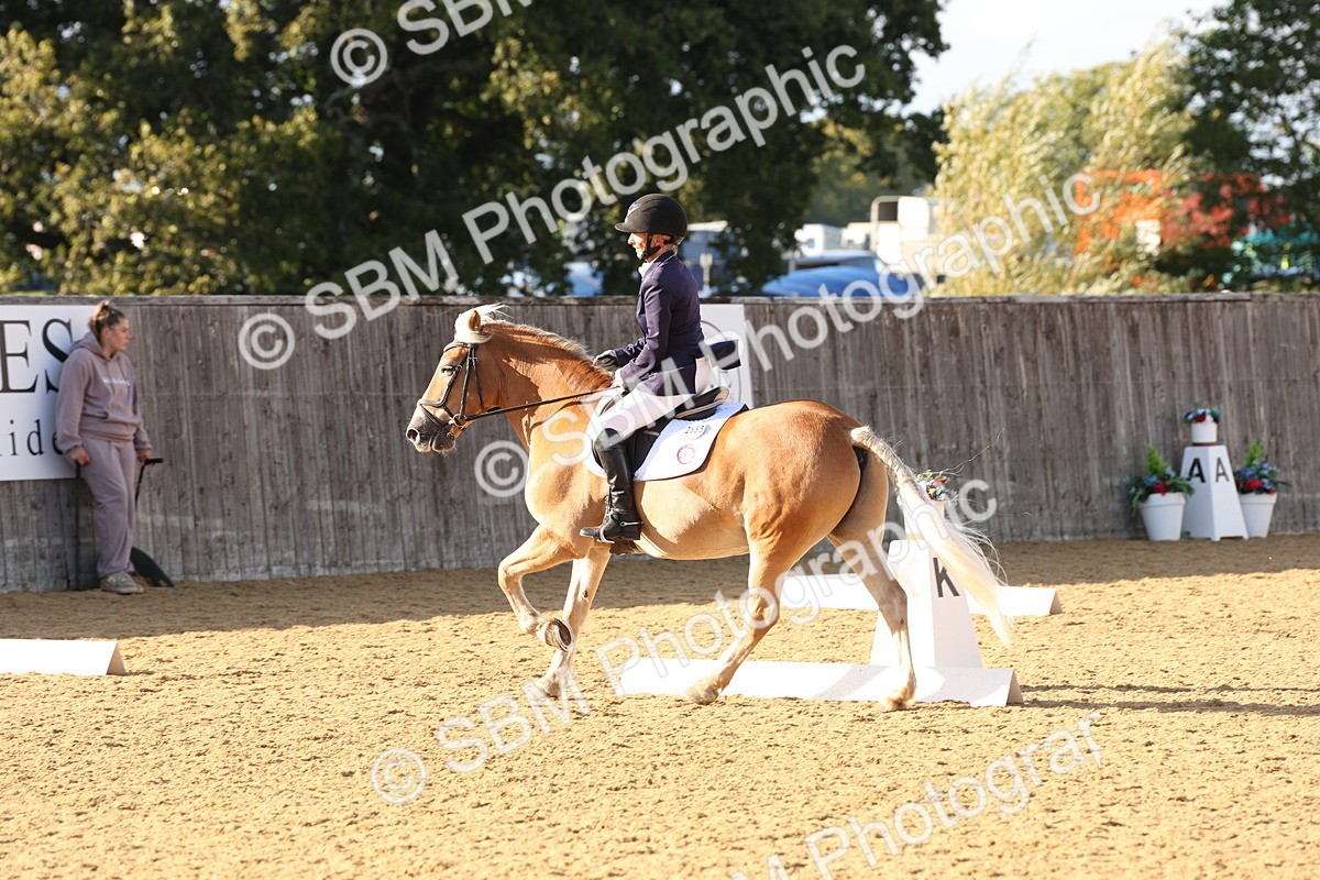 SBM_28216 - D20 - Grand Tour Championship Elementary 3